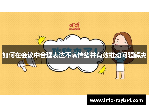 如何在会议中合理表达不满情绪并有效推动问题解决